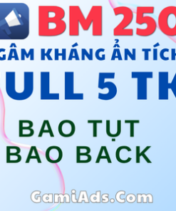 Tài Khoản BM5 Kháng (5 TKQC 250$) - Ngâm Lâu, Sẵn Sàng Chinh Phục VPCS