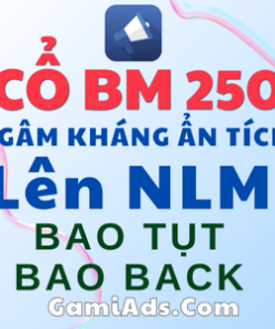 Tài Khoản BM5 Cổ Kháng (5 TKQC 250$) - Nền Tảng Lên No-Limit Nhanh